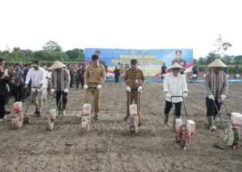 Menteri Koordinator Bidang Pangan Zulkifli Hasan melaksanakan penanaman Jagung Menuju Swasembada Pangan di Kabupaten Lampung Selatan, pada Selasa, 2 Desember 2025 kemarin. Lampost.co/Andi Apriadi.