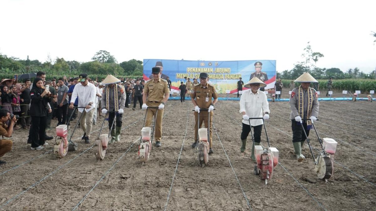 Menteri Koordinator Bidang Pangan Zulkifli Hasan melaksanakan penanaman Jagung Menuju Swasembada Pangan di Kabupaten Lampung Selatan, pada Selasa, 2 Desember 2025 kemarin. Lampost.co/Andi Apriadi.