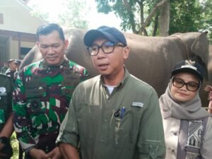 Pemprov Lampung dan Pemerintah Pusat Siapkan Pagar Permanen di Way Kambas