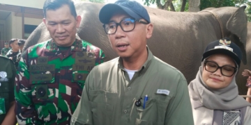 Pemprov Lampung dan Pemerintah Pusat Siapkan Pagar Permanen di Way Kambas