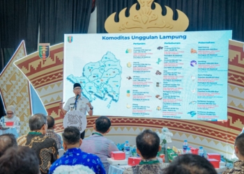 Gubernur Tegaskan Arah Pembangunan 2029: Fokus Ekonomi Desa, Infrastruktur, dan Lingkungan