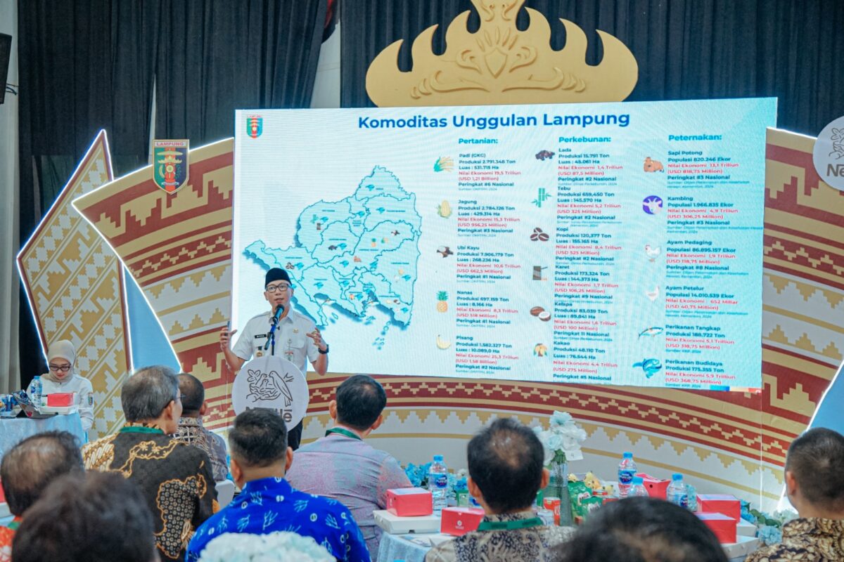 Gubernur Tegaskan Arah Pembangunan 2029: Fokus Ekonomi Desa, Infrastruktur, dan Lingkungan