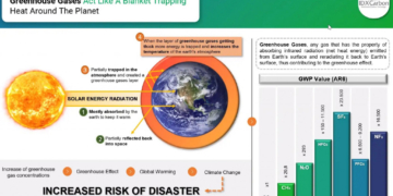 Optimalkan Regulasi Karbon di Kawasan Konservasi