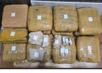 Barang bukti narkotika jenis ganja 13,8 kilogram dalam penggerebekan seorang tersangka berinisial FAB (26), warga Kecamatan Kalianda, Lampung Selatan. Dok Polda Lampung