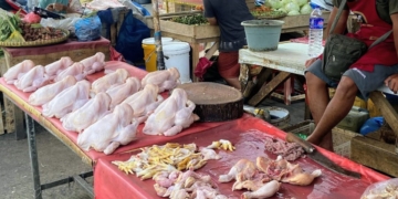 Pedagang ayam di Pasar Pasir Gintung, Bandar Lampung. Lampost.co/Fauzan