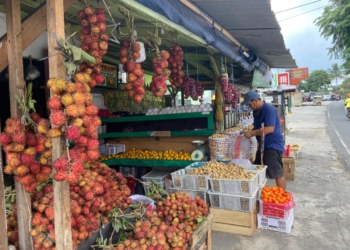 Pedagang buah di Bandar Lampung sedang merapihkan barang dagangannya. Lampost.co/Restu