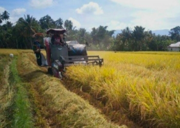 Pengamat Dorong Hilirisasi Pertanian untuk Tarik Investasi