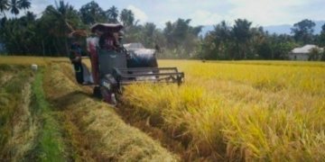 Pengamat Dorong Hilirisasi Pertanian untuk Tarik Investasi