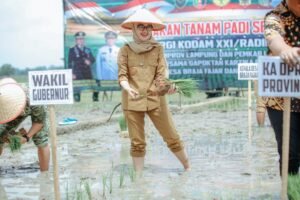 Dorong Penggunaan POC untuk Jaga Kesuburan Lahan Pertanian