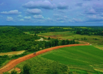 Modal Alam Lampung Berpeluang Masuk Perdagangan Karbon