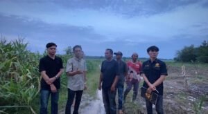 LBH DLN Dorong Regulasi Khusus Tangani Konflik Gajah di Lampung