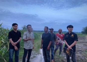 LBH DLN Dorong Regulasi Khusus Tangani Konflik Gajah di Lampung