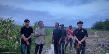 LBH DLN Dorong Regulasi Khusus Tangani Konflik Gajah di Lampung