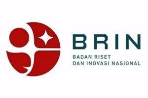 BRIN Ingatkan Penanganan Bencana Tak Cukup di Fase Tanggap Darurat