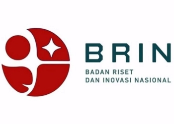 BRIN Ingatkan Penanganan Bencana Tak Cukup di Fase Tanggap Darurat