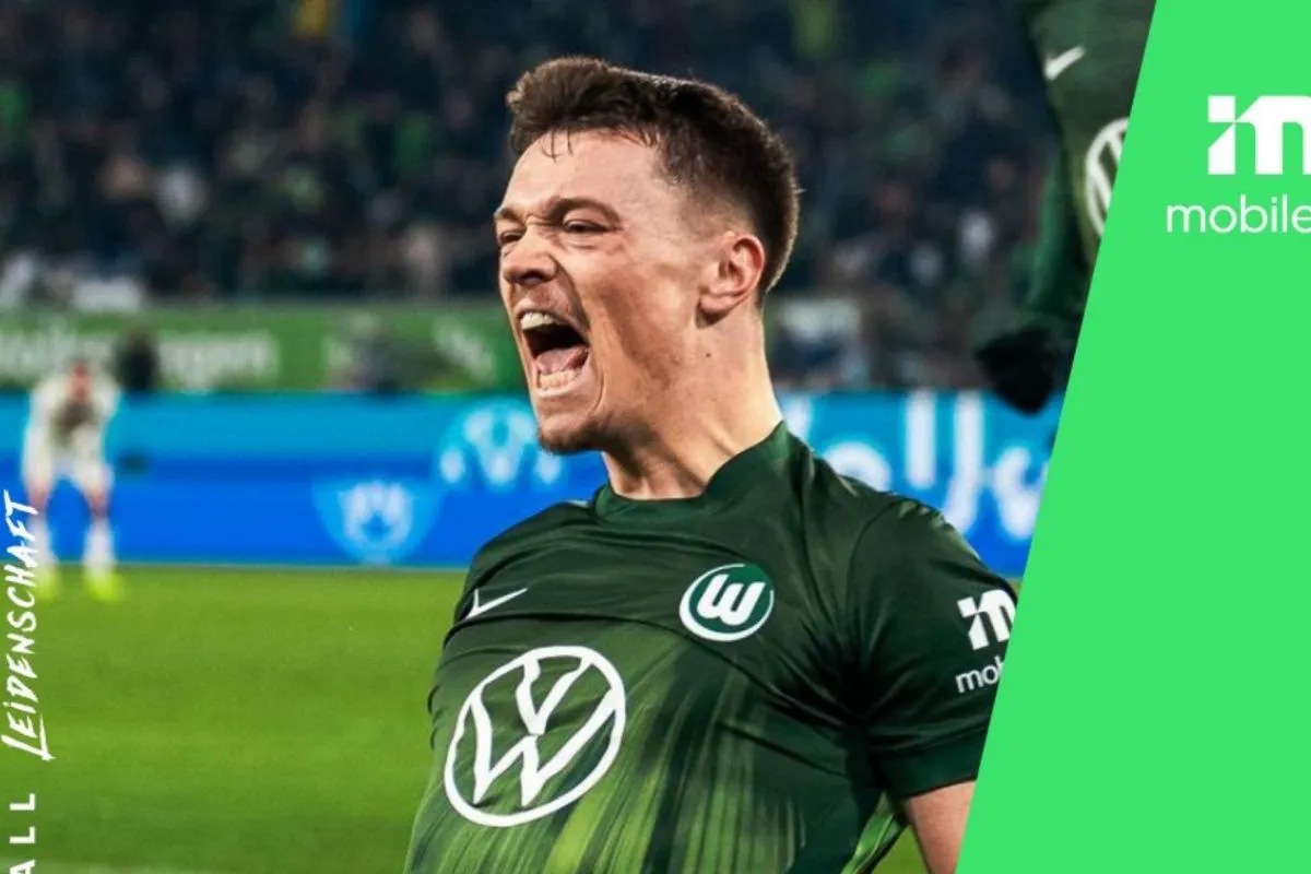 Penyerang Wolfsburg Dzenan Pejcinovic