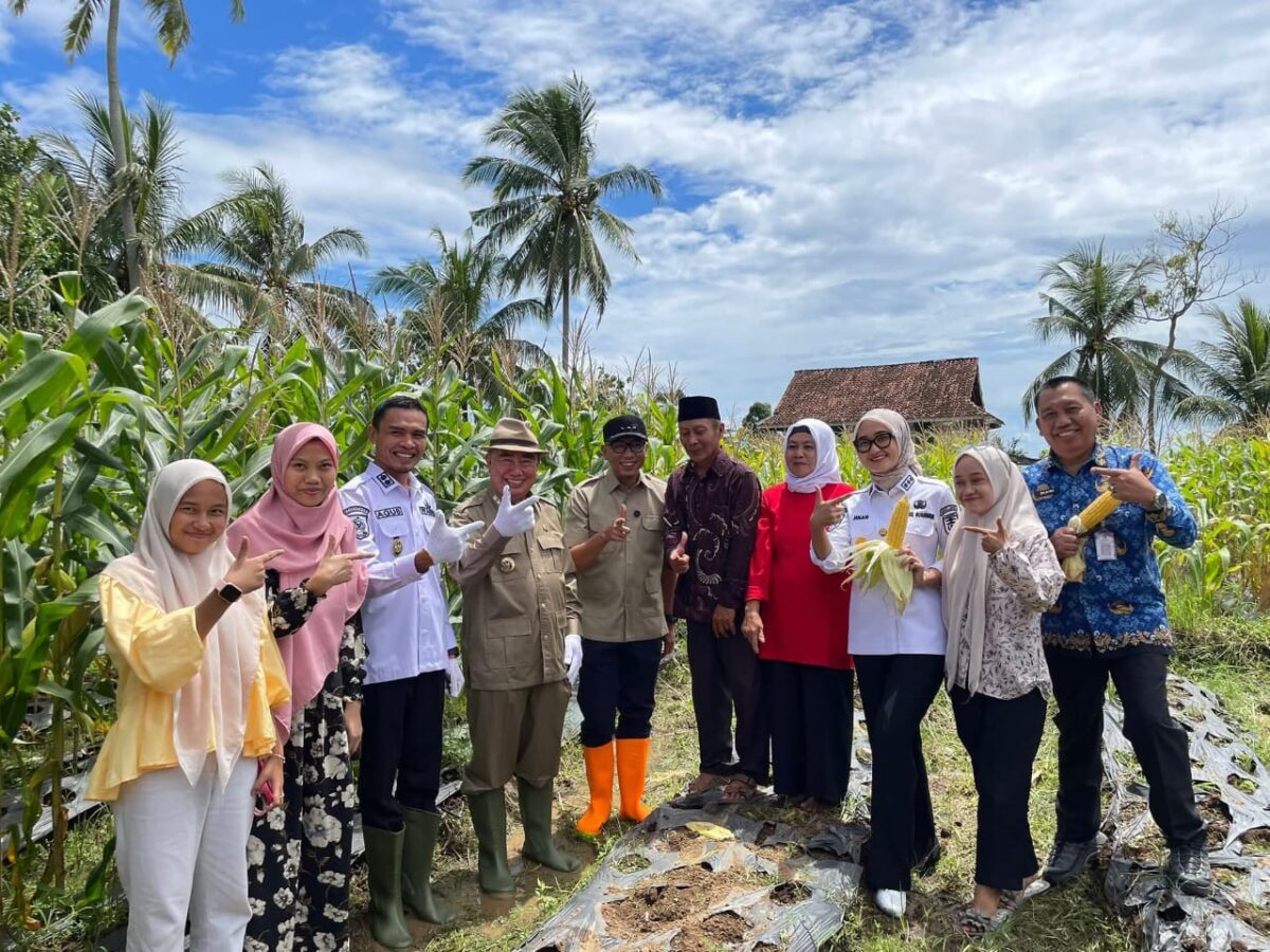 Pemkab Tanggamus Terus Perkuat Sektor Ketahanan Pangan dan Hortikultura