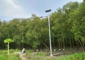 PT Pertamina Hulu Energi OSES (PHE OSES) dalam mendorong kemandirian ekonomi masyarakat pesisir.