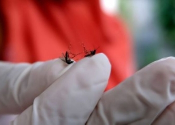 Dorong Integrasi Kebijakan Daerah Atasi Malaria