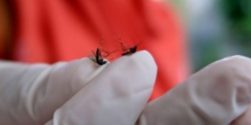 Dorong Integrasi Kebijakan Daerah Atasi Malaria