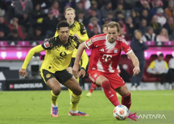 pemain bayern muenchen, harry kane