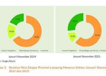 Screenshot rilis BPS Lampung.
