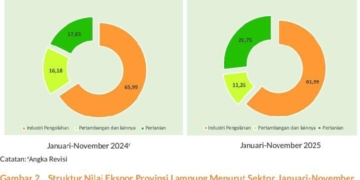 Screenshot rilis BPS Lampung.