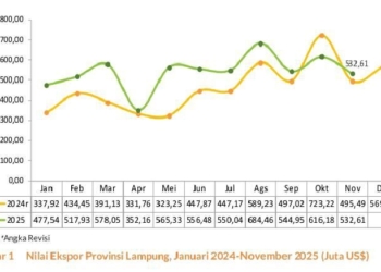 Screenshot rilis BPS Lampung.