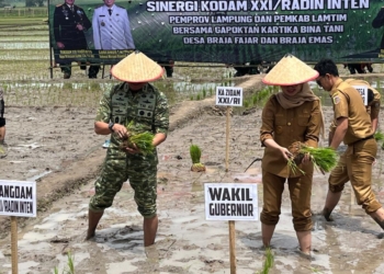 Gerakan Tanam Padi Serentak yang digelar Kodam XXI/Radin Inten bersama Pemerintah Provinsi Lampung dan Pemerintah Kabupaten Lampung Timur menjadi penanda kuat kolaborasi lintas sektor dalam memperkuat ketahanan pangan nasional. Dok