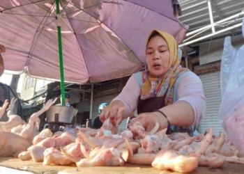 Jelang Ramadan, Harga Ayam Potong Naik di Pasar Jatimulyo