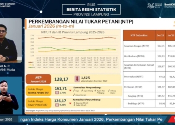 Nilai Tukar Petani Provinsi Lampung Turun 1,52 Persen