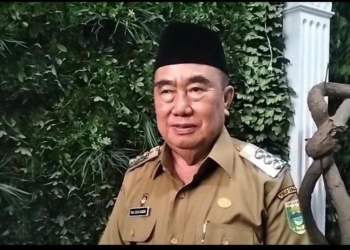 Strategi Bupati Dorong Kemandirian Ekonomi Tanggamus Melalui Hilirisasi
