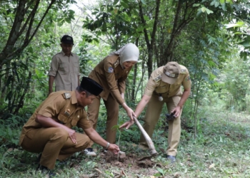 Wakil Gubernur Lampung, Jihan Nurlela kunjungan lapangan terkait peluang investasi hijau sektor kehutanan di kawasan Taman Nasional Way Kambas (TNWK), Lampung Timur, Selasa (10/2/2026). Dok ADPIM Lampung