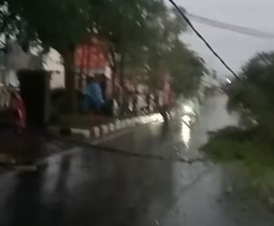 Bandar Lampung Dikepung Cuaca Ekstrem, 50 Pohon Tumbang