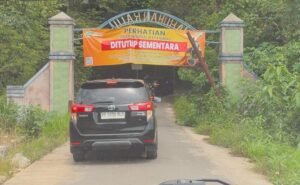 Tokoh Pemuda Lampung Dukung Mitigasi Konflik Gajah Way Kambas, Apresiasi Sinergi Lintas Sektor