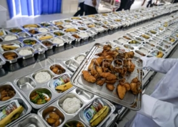 BGN Prioritaskan MBG untuk 3B: Balita, Ibu Hamil, dan Ibu Menyusui