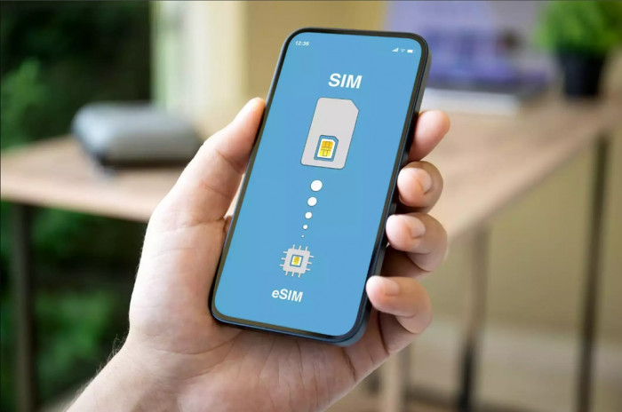 eSIM tidak muncul