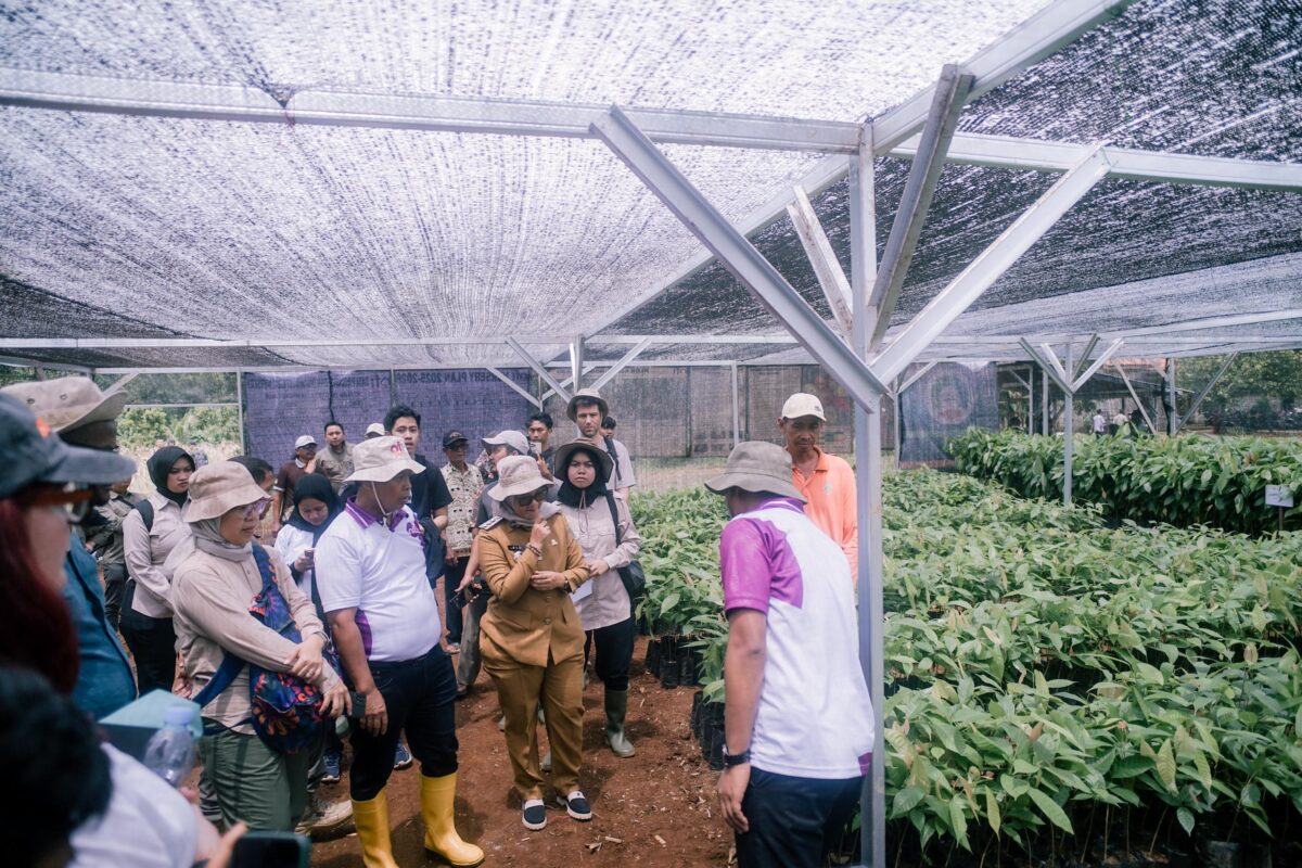 Lampung Timur Perkuat Cocoa Agroforestry Berkelanjutan untuk Pemberdayaan Masyarakat Sekitar Hutan.