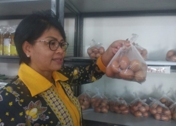 Harga Telur Ayam Dipastikan Stabil hingga Lebaran