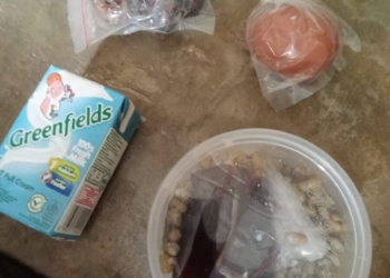 Menu MBG yang diprotes wali murid