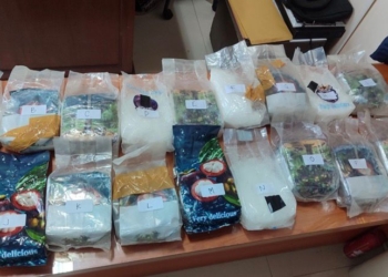 Direktorat Reserse Narkoba (Ditresnarkoba) Polda Lampung berhasil menggagalkan penyelundupan narkotika jenis sabu seberat 17,29 kilogram di Exit Tol Bakauheni, Lampung Selatan, Selasa, 17 Februari 2026, dini hari.