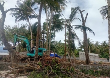 Salah satu lokasi di pinggir pantai Kecamatan Pesisir Tengah yang akan dibangun hotel/vila. (Lampost/Yon Fisoma)
