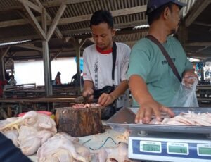 Kenaikan Harga Ayam Jelang Idulfitri Memicu Keluhan Pembeli