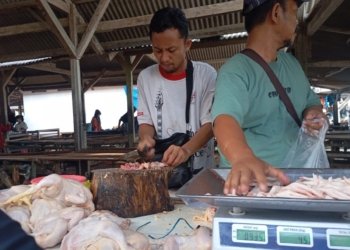 Kenaikan Harga Ayam Jelang Idulfitri Memicu Keluhan Pembeli