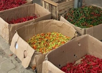 H+7 Lebaran, Harga Komoditas Cabai di Pasar Jatimulyo Turun