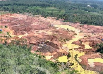 Kepolisian Daerah (Polda) Lampung berhasil membongkar praktik pertambangan emas ilegal berskala besar kawasan perkebunan PTPN I Regional 7, Kabupaten Way Kanan. Dok Polda Lampung