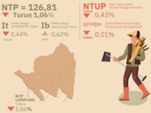 Nilai Tukar Petani Lampung Turun 1,06 Persen