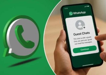WhatsApp Guest Chats
