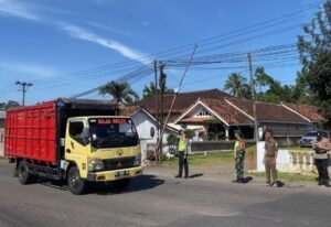 Puncak Mudik H-1 Lebaran 2026: Wilayah Tegineneng Dapat Perhatian Khusus