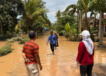 Anggota DPRD Lampung Lesty Putri Utami tinjau lokasi banjir Lampung Selatan, Sabtu (7/3/2026) (ANTARA/